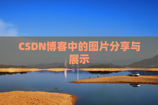 CSDN博客中的图片分享与展示